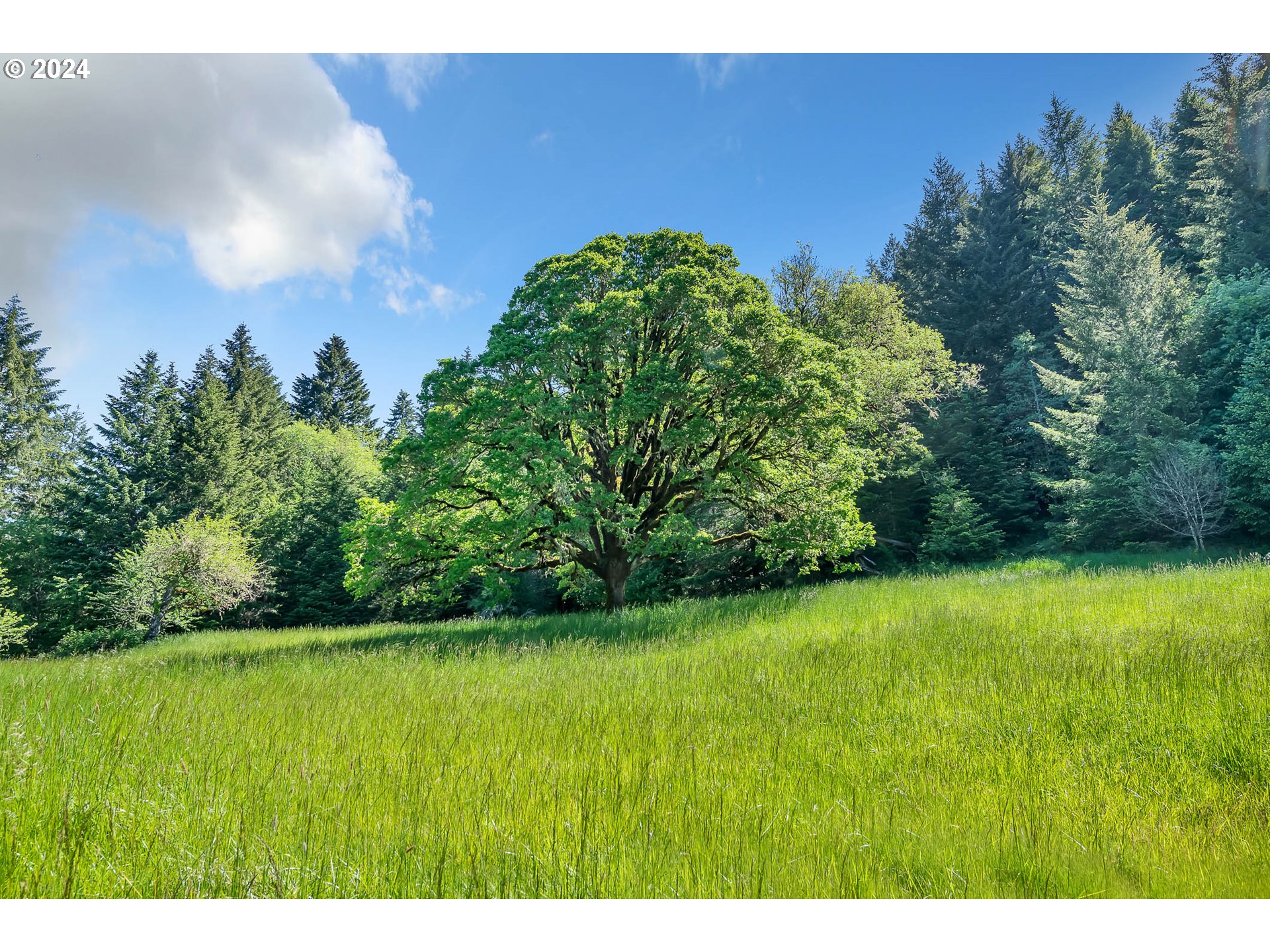 Central Road Eugene, OR 97402 - Photo 20 of 35 Gallery Image 20