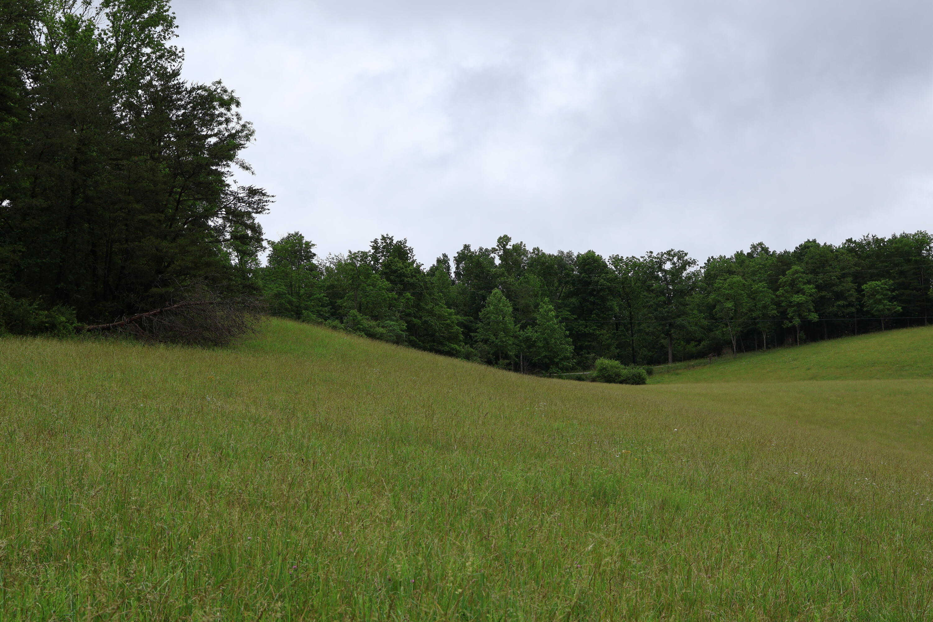 4135 Big Andy Ridge Road, Unit TRACT 1 Rogers, KY 41365 - Photo 9 of 11 Tract 1