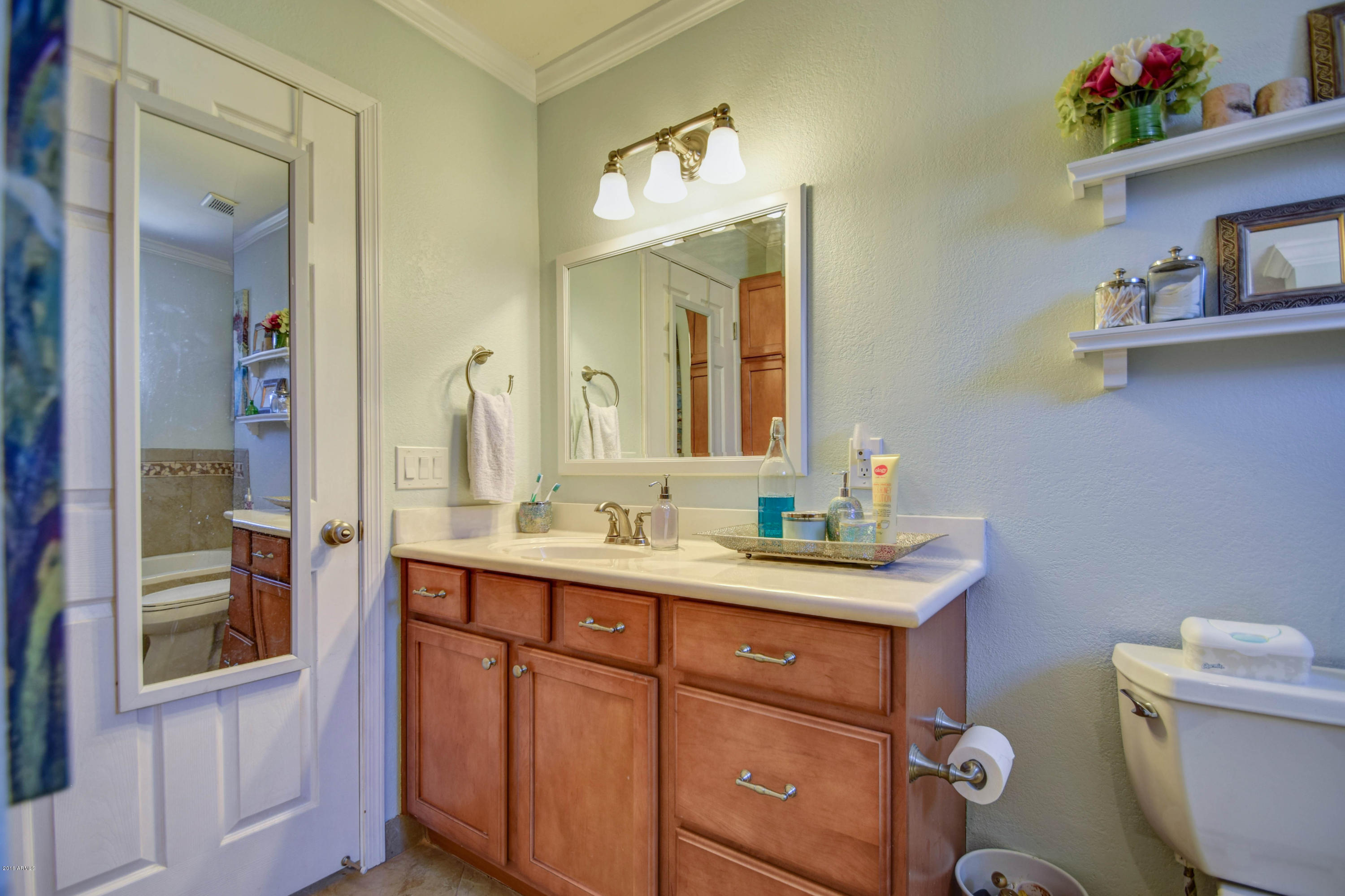 110 South Colonia Way Gilbert, AZ 85296 - Photo 24 of 44 master bath-3