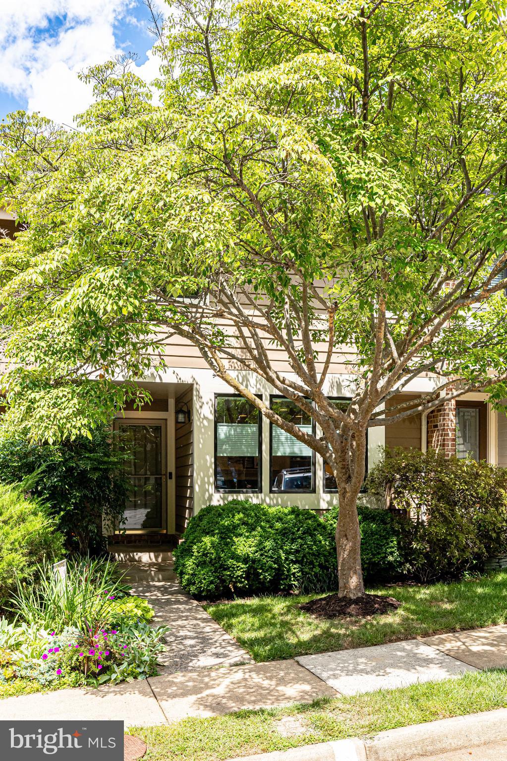 11056 Thrush Ridge Road Reston, VA 20191 - Photo 61 of 62 Another view of the pretty dogwood at the front.
