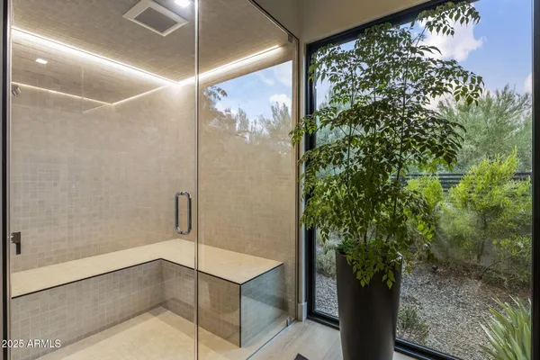 a bathroom with a shower and a plant in it