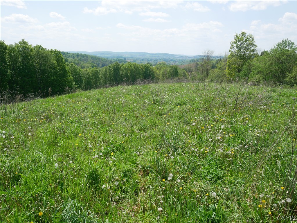 Canning Factory Road Waterville, NY 13480 - Photo 4 of 17