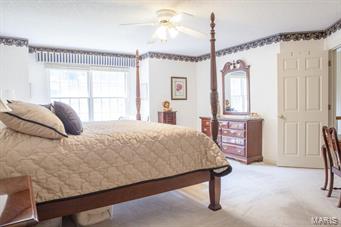 9786 Fall Ridge Trail Sunset Hills, MO 63127 - Photo 16 of 25 Gallery Image 16