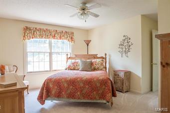 9786 Fall Ridge Trail Sunset Hills, MO 63127 - Photo 19 of 25 Gallery Image 19