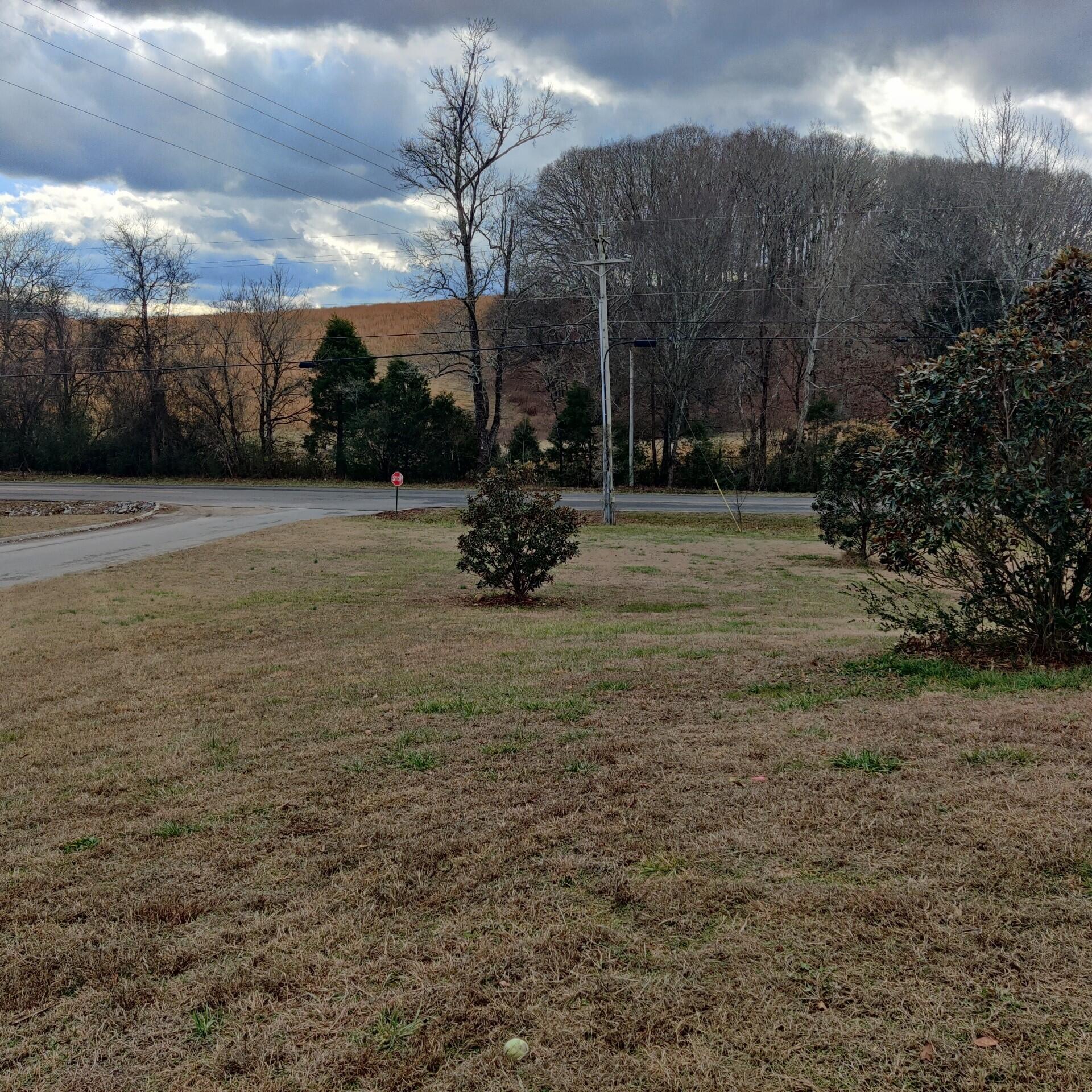 115 Sunny View Road Dayton, TN 37321 - Photo 2 of 20 115 Sunny View Front Yard