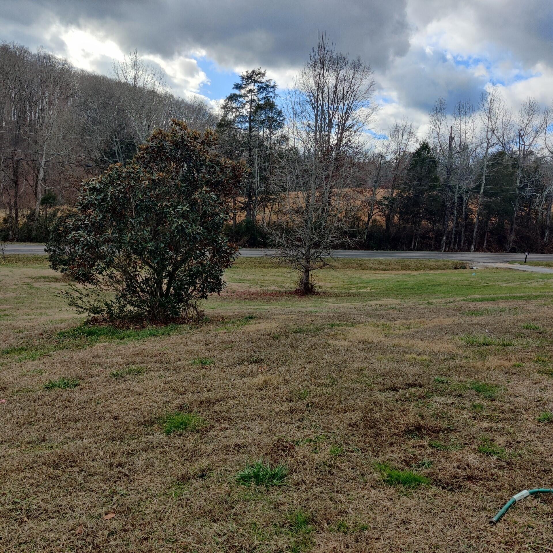 115 Sunny View Road Dayton, TN 37321 - Photo 3 of 20 115 Sunny View Yard