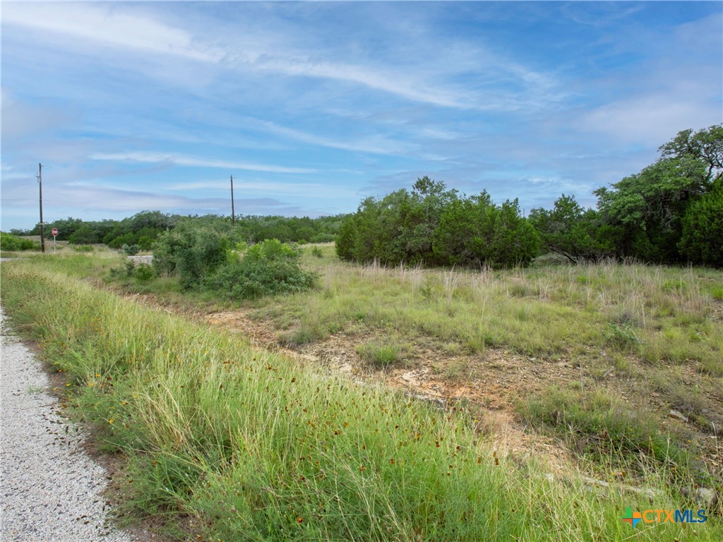 206 Vista View Place Spring Branch, TX 78070 - Photo 11 of 24 a view of a garden with a lake