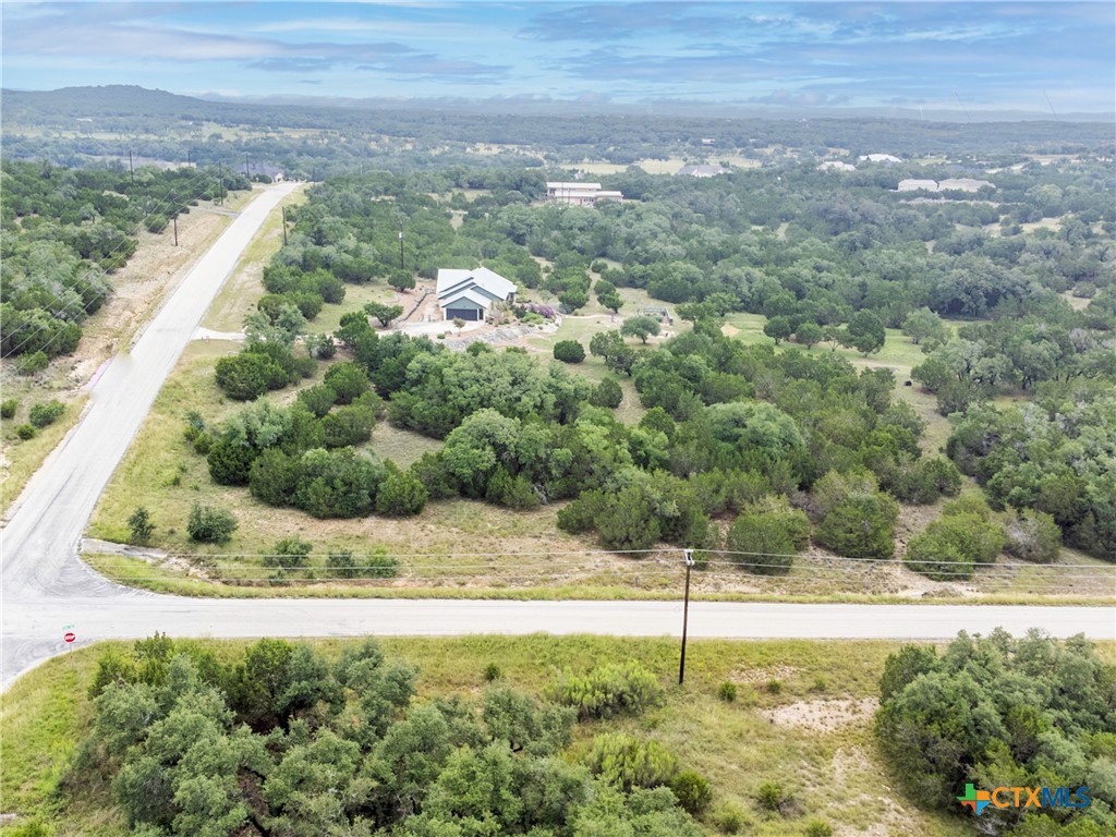 206 Vista View Place Spring Branch, TX 78070 - Photo 14 of 24 a view of a garden