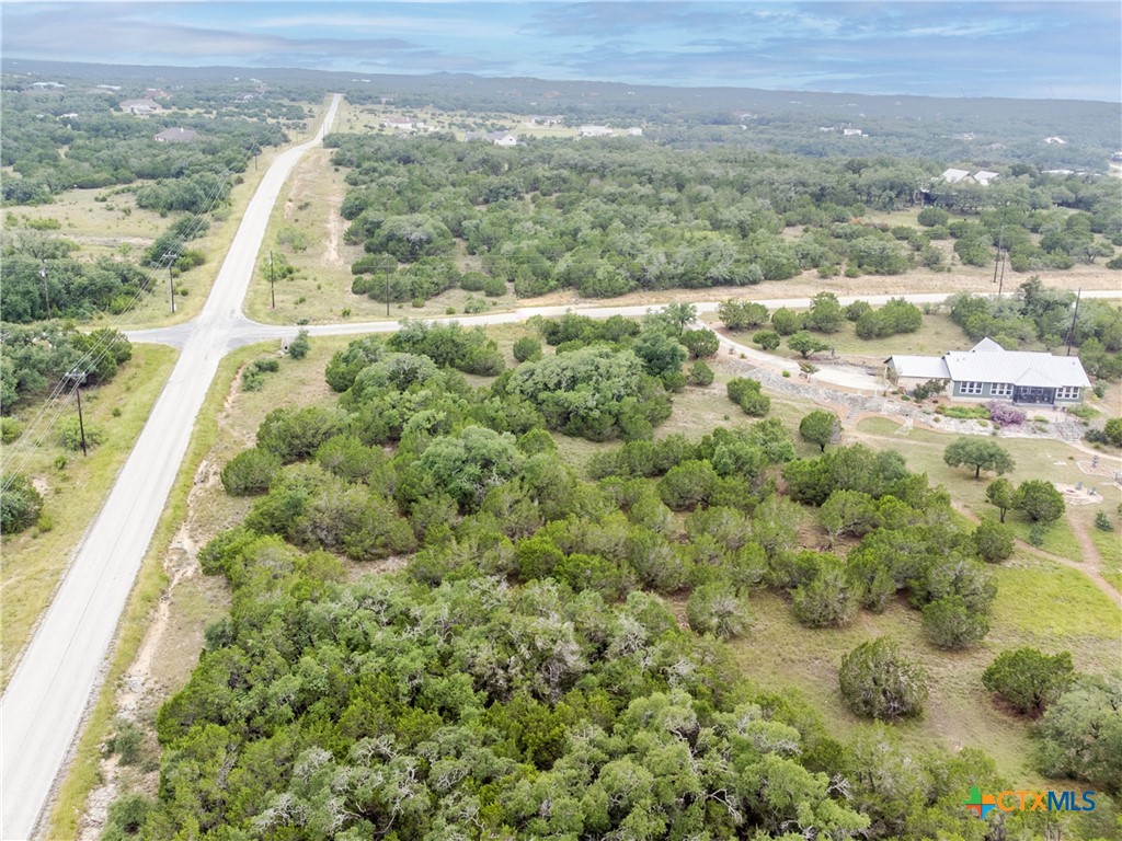 206 Vista View Place Spring Branch, TX 78070 - Photo 17 of 24 a view of a city with tall trees