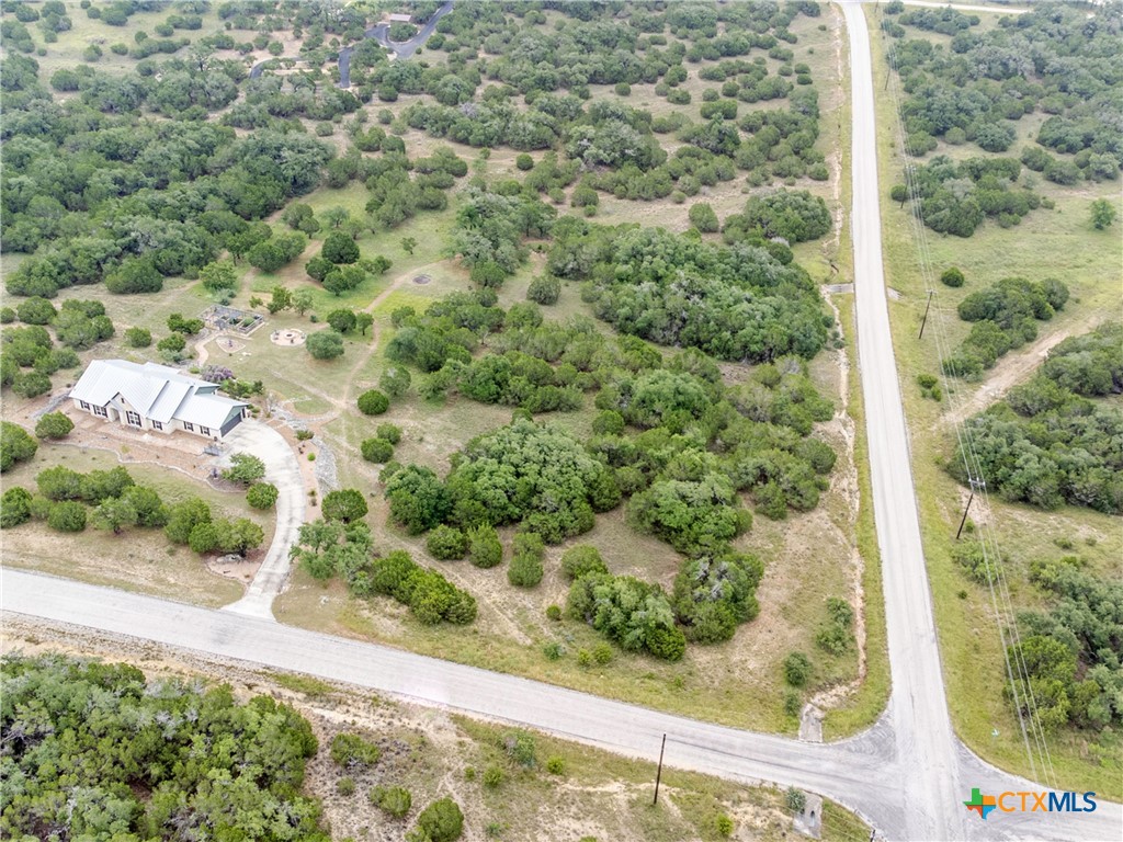 206 Vista View Place Spring Branch, TX 78070 - Photo 20 of 24 a view of a yard with plants