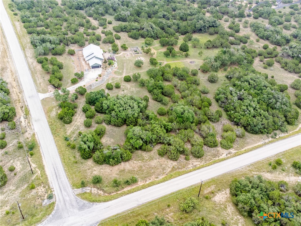 206 Vista View Place Spring Branch, TX 78070 - Photo 22 of 24 a view of a garden with a plant