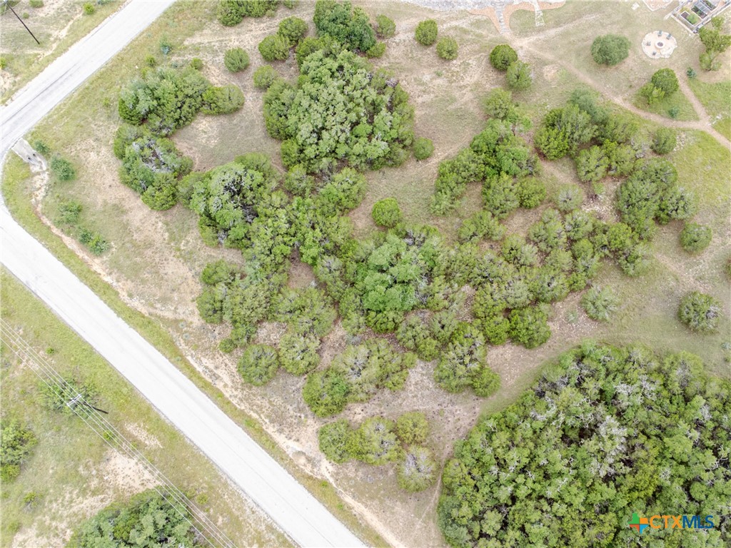 206 Vista View Place Spring Branch, TX 78070 - Photo 23 of 24 a view of a garden from a balcony