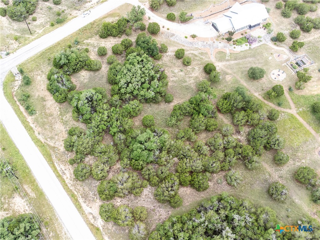 206 Vista View Place Spring Branch, TX 78070 - Photo 24 of 24 a view of a garden with a plants