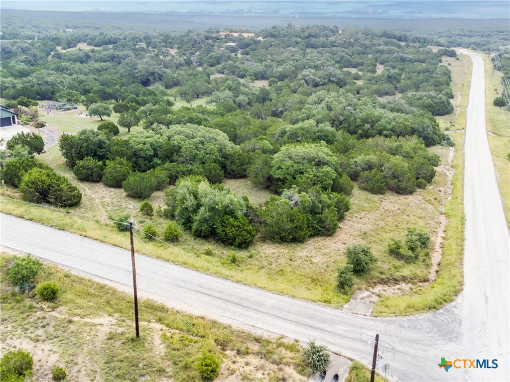 206 Vista View Place Spring Branch, TX 78070 - Photo 7 of 24 a view of a wooden bridge