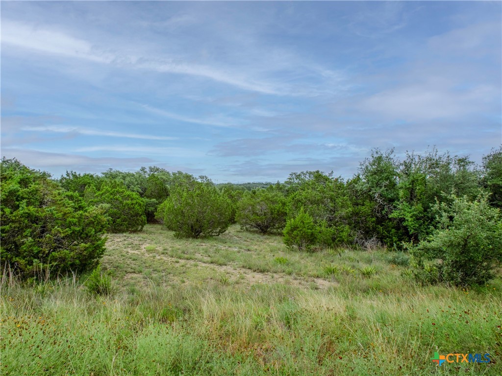 206 Vista View Place Spring Branch, TX 78070 - Photo 8 of 24 a view of a lush green space