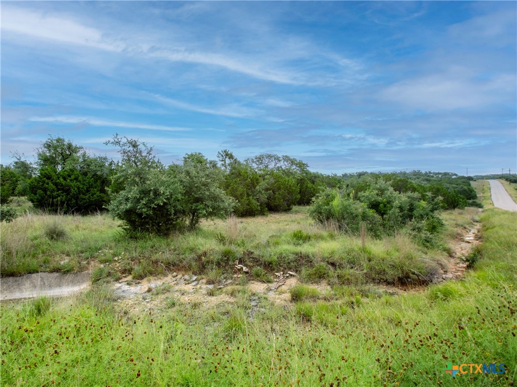206 Vista View Place Spring Branch, TX 78070 - Photo 9 of 24 a view of a field of grass and trees