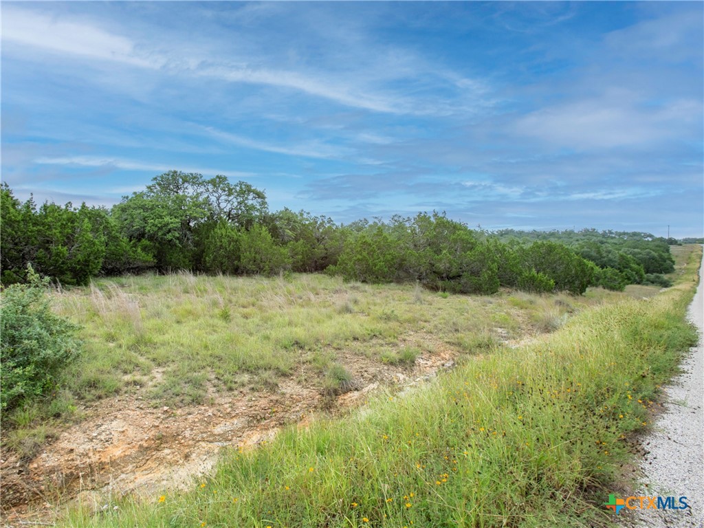 206 Vista View Place Spring Branch, TX 78070 - Photo 10 of 24 a view of a yard with an outdoor space