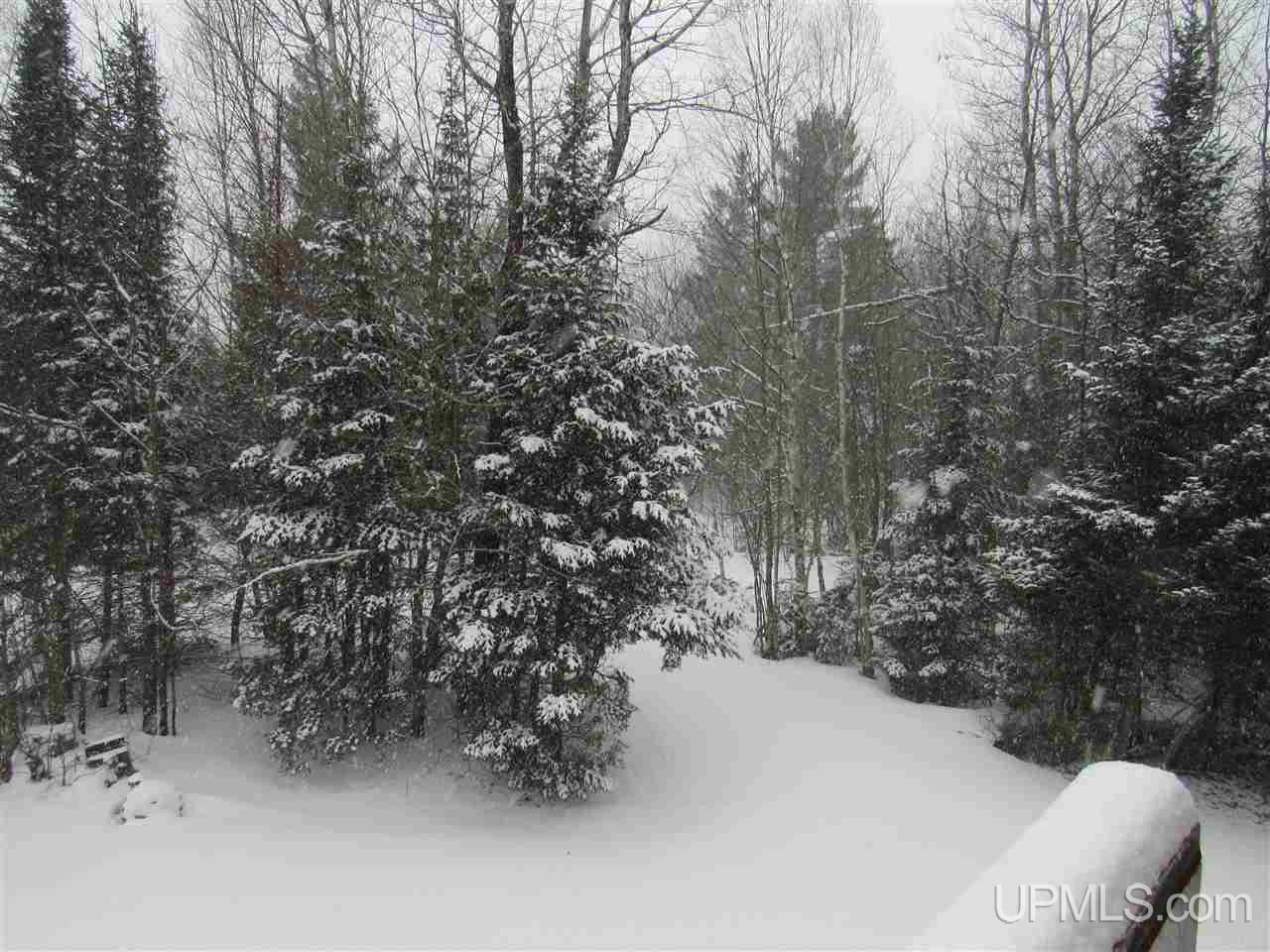 E7521 Co Road Wetmore, MI 49895 - Photo 44 of 44