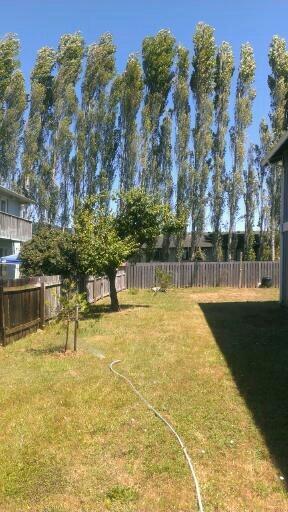 20 G Street Arcata, CA 95521 - Photo 3 of 11