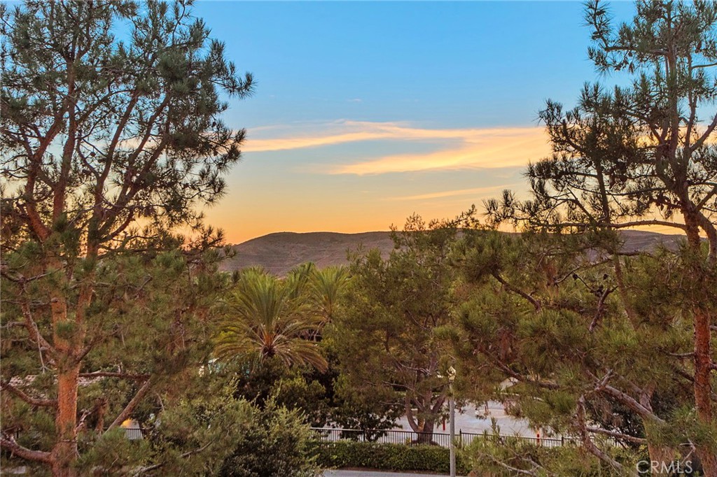 11 Chianti Ladera Ranch, CA 92694 - Photo 22 of 58