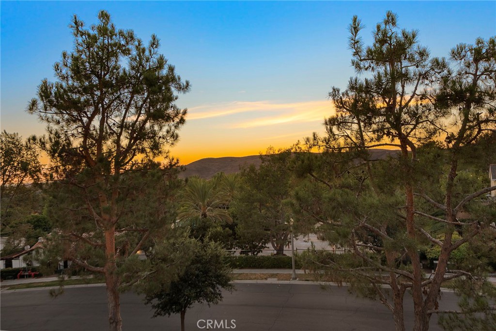 11 Chianti Ladera Ranch, CA 92694 - Photo 30 of 58