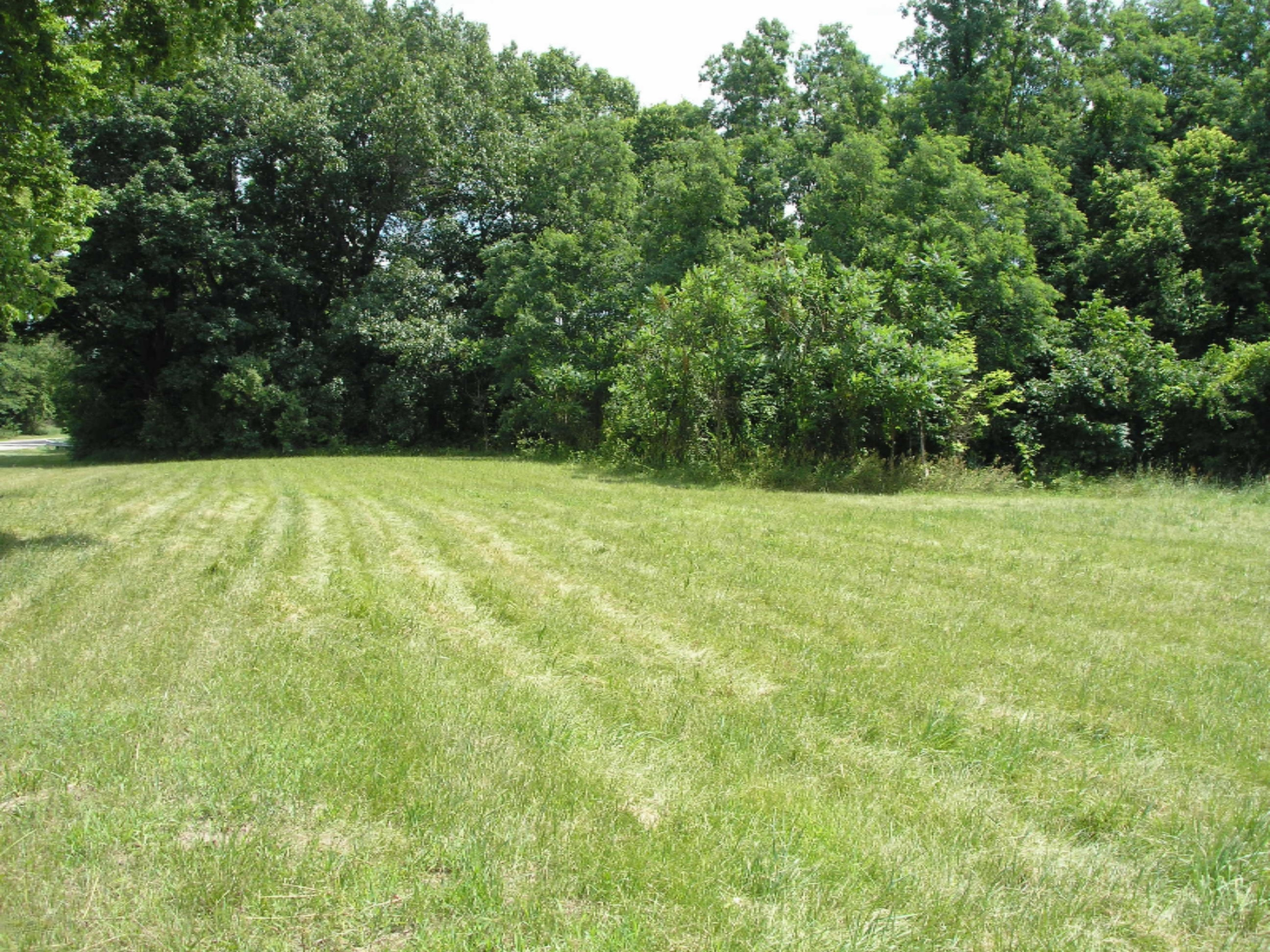 19323 Highway 60 Three Rivers, MI 49093 - Photo 6 of 6 19323 M 60