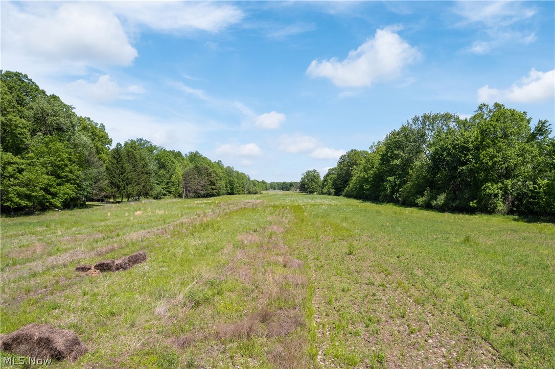 15494 Wheeler Road Lagrange, OH 44050 - Photo 37 of 41