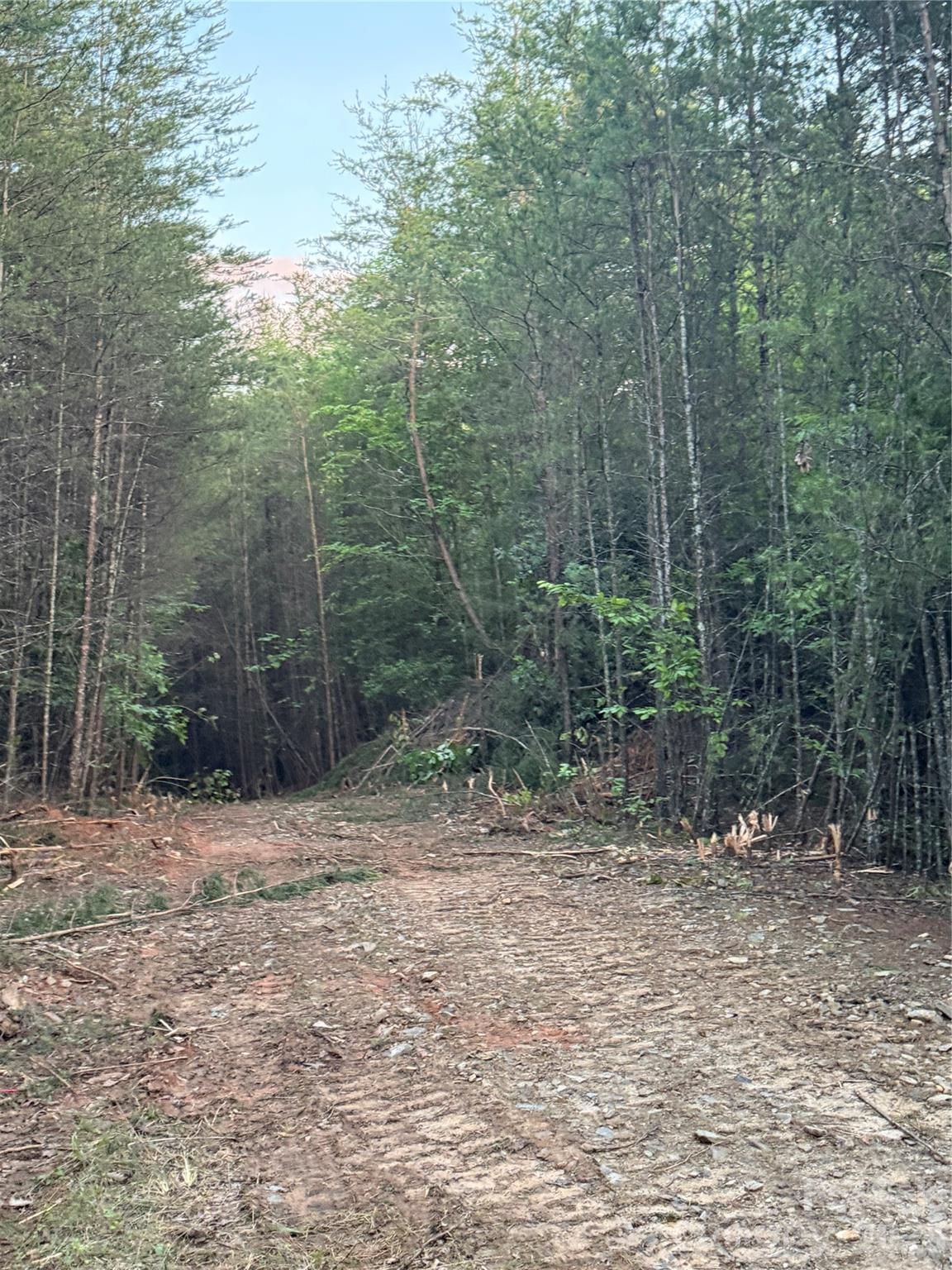 2 Hill Road Marion, NC 28752 - Photo 9 of 9