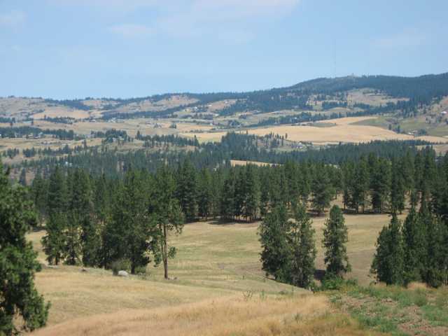 0 Stentz Road, Unit LOT 4 Spangle, WA 99031 - Photo 1 of 3