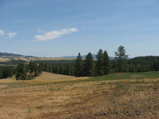 0 Stentz Road, Unit LOT 4 Spangle, WA 99031 - Photo 2 of 3