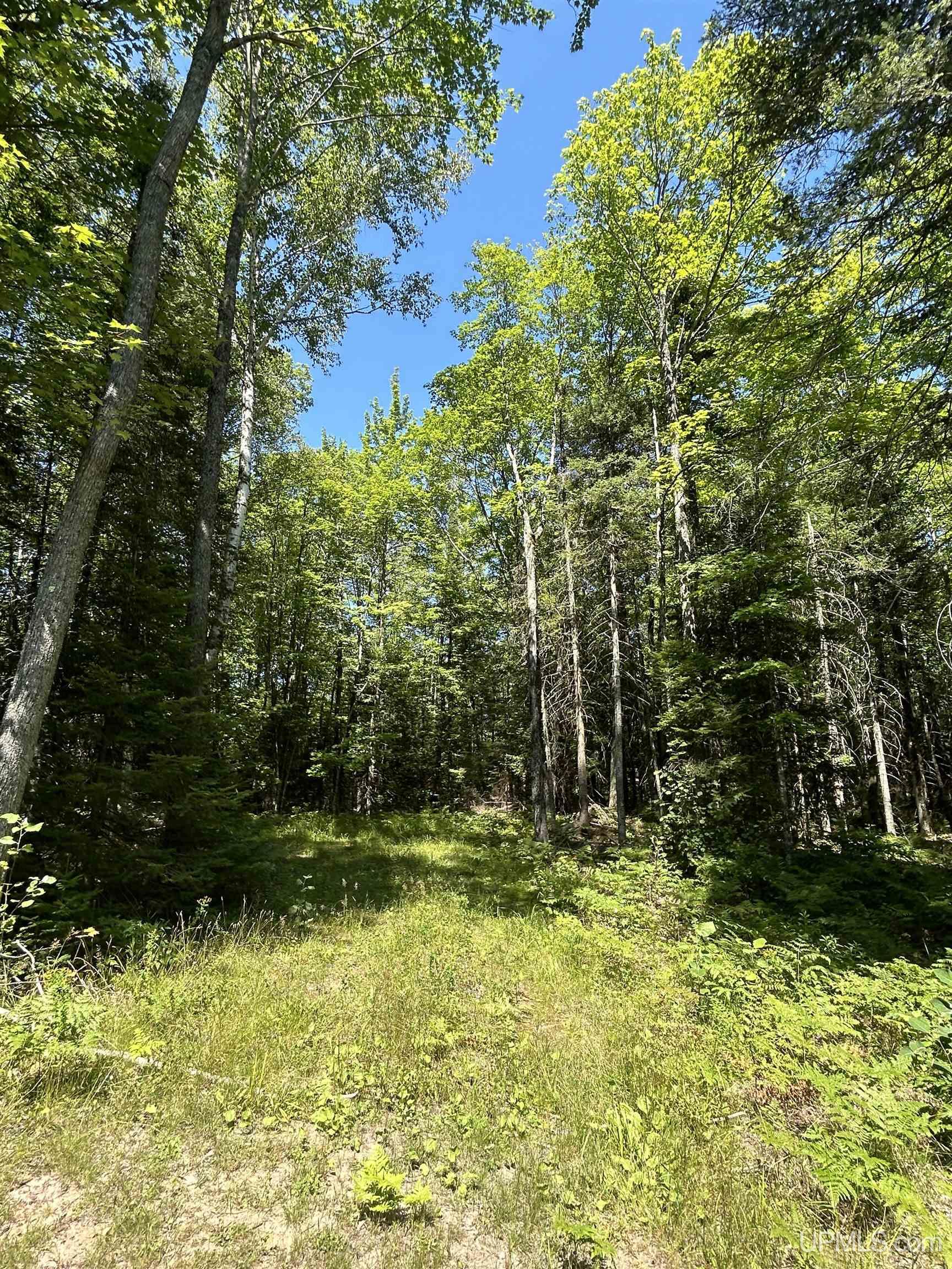2650 East Co Road Little Lake, MI 49833 - Photo 25 of 40