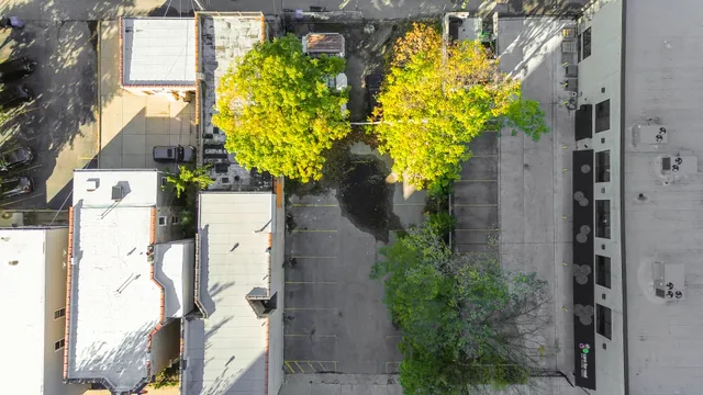 a vase of flowers sitting on a wall