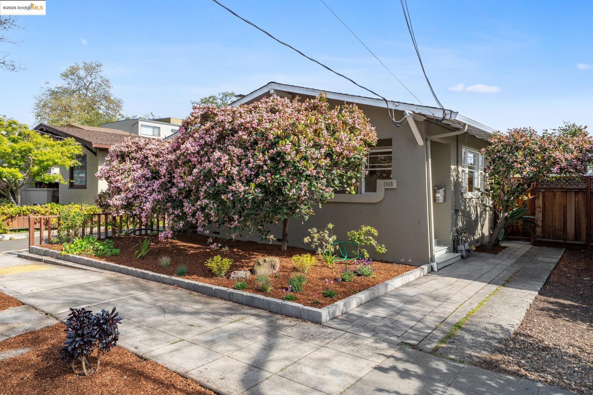 1040 Camelia Street Berkeley, CA 94710 - Photo 1 of 1 a backyard of a house with lots of green space