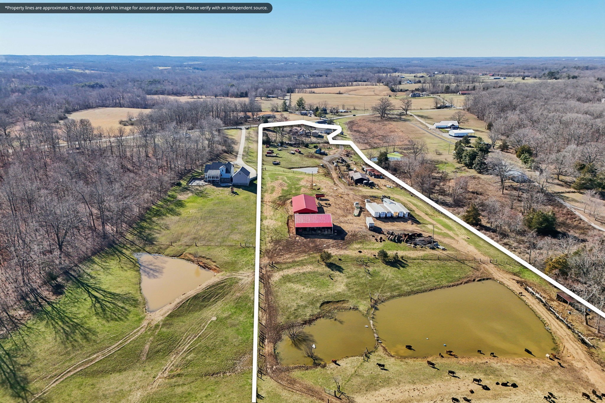 7562 Crow Cut Road Fairview, TN 37062 - Photo 84 of 91