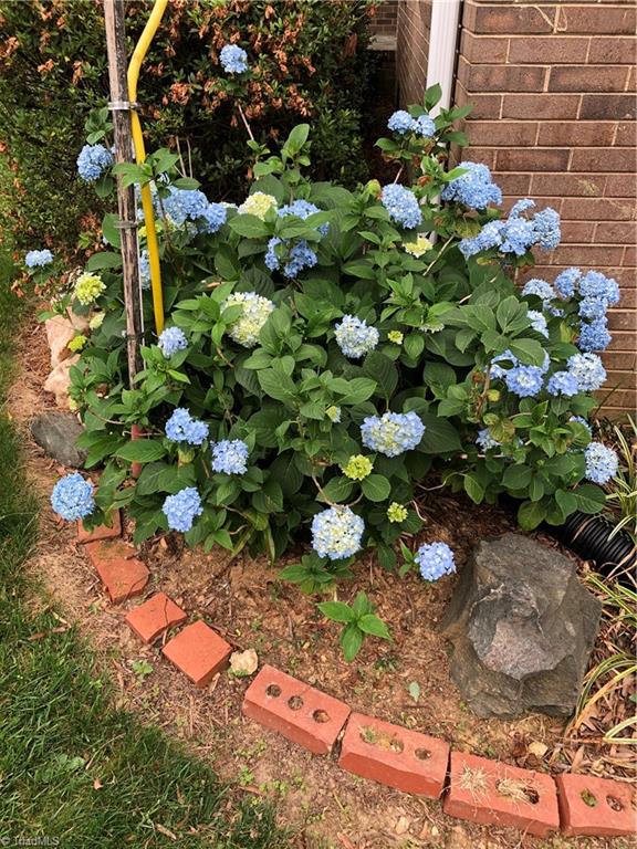 5610 Fleming Terrace Road Greensboro, NC 27410 - Photo 50 of 50 Another shot of what is to come in the magnificent yard