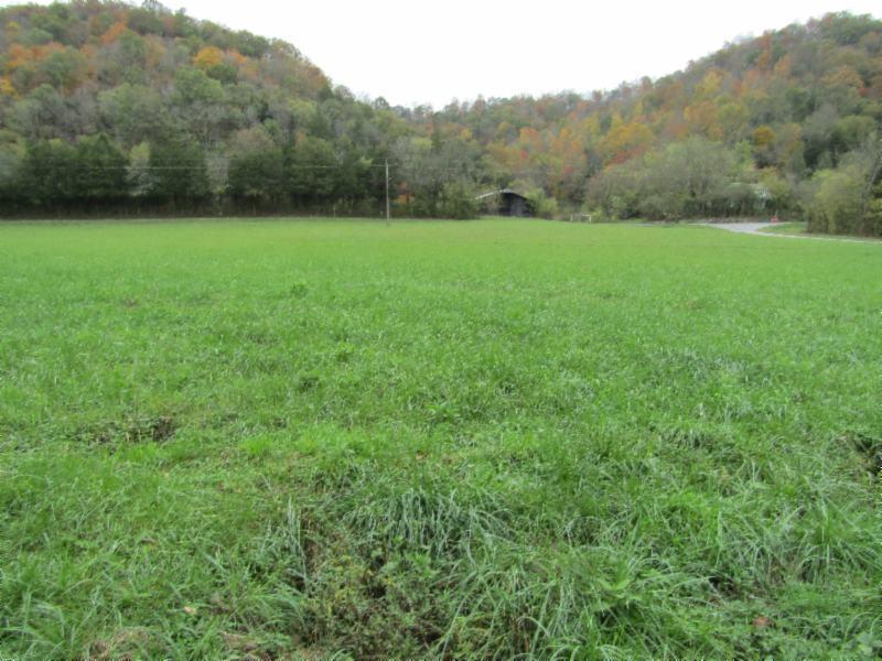 55.83-ac Dry Creek Road Moss, TN 38575 - Photo 1 of 36 IMG_0155