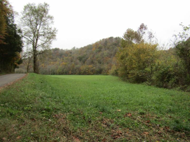 55.83-ac Dry Creek Road Moss, TN 38575 - Photo 2 of 36 IMG_0120