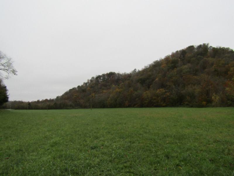55.83-ac Dry Creek Road Moss, TN 38575 - Photo 11 of 36 IMG_0134