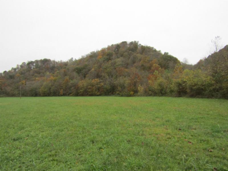 55.83-ac Dry Creek Road Moss, TN 38575 - Photo 12 of 36 IMG_0136