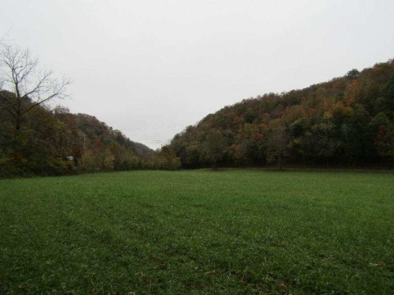 55.83-ac Dry Creek Road Moss, TN 38575 - Photo 15 of 36 IMG_0144