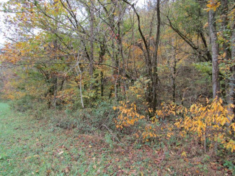 55.83-ac Dry Creek Road Moss, TN 38575 - Photo 16 of 36 IMG_0147