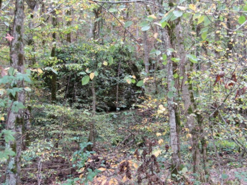 55.83-ac Dry Creek Road Moss, TN 38575 - Photo 17 of 36 IMG_0139