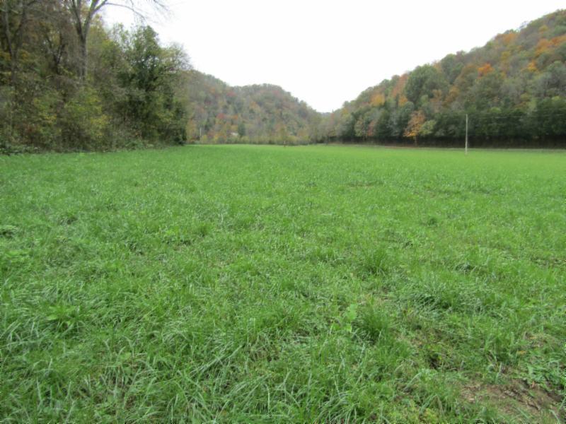 55.83-ac Dry Creek Road Moss, TN 38575 - Photo 18 of 36 IMG_0149