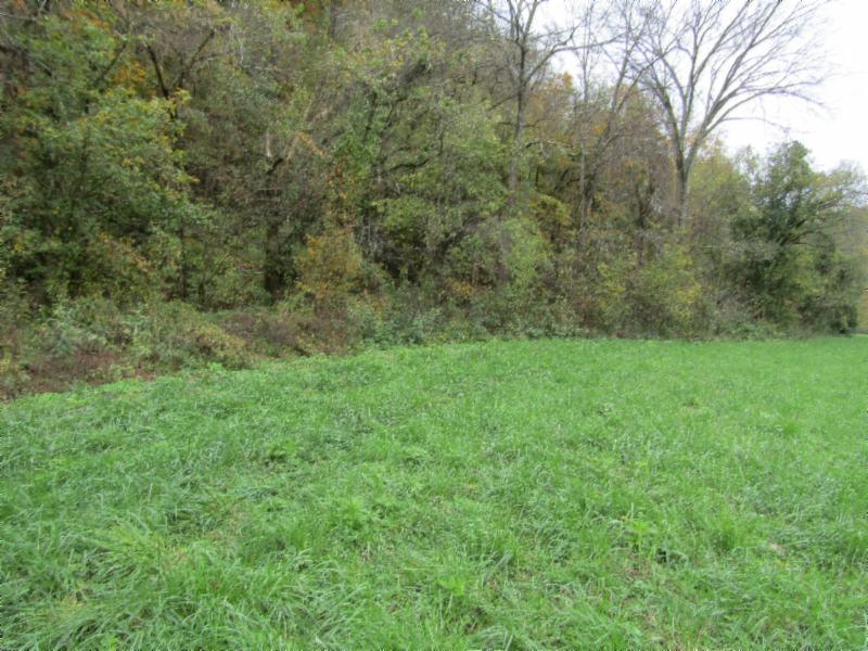 55.83-ac Dry Creek Road Moss, TN 38575 - Photo 20 of 36 IMG_0151