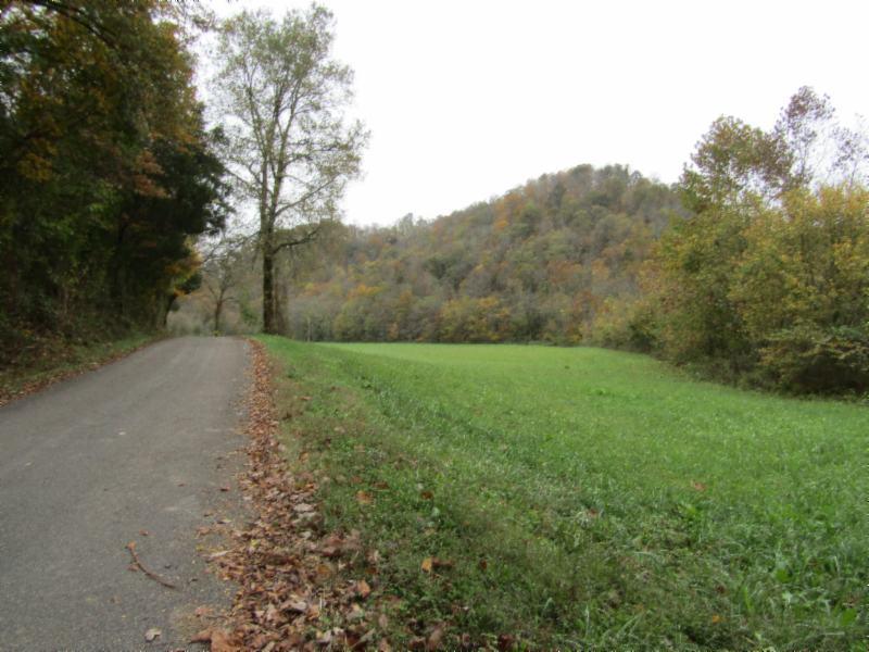 55.83-ac Dry Creek Road Moss, TN 38575 - Photo 3 of 36 IMG_0121