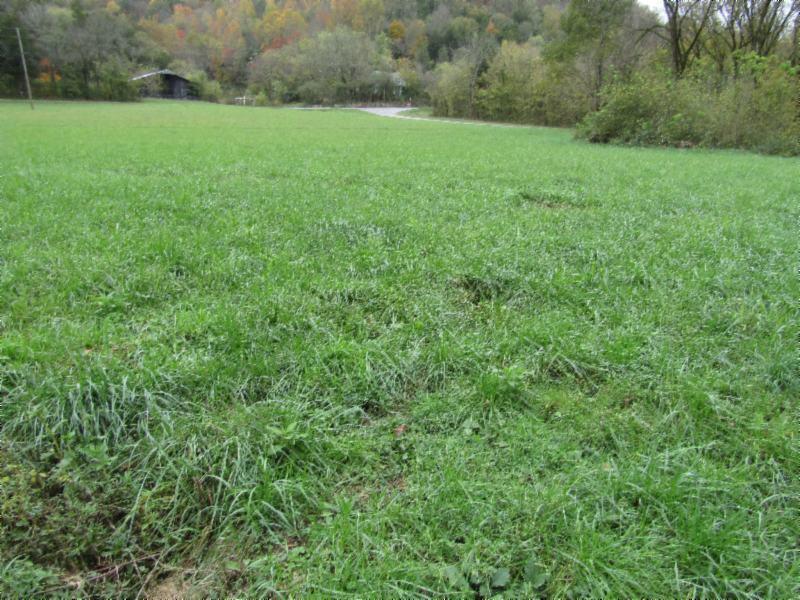 55.83-ac Dry Creek Road Moss, TN 38575 - Photo 22 of 36 IMG_0153