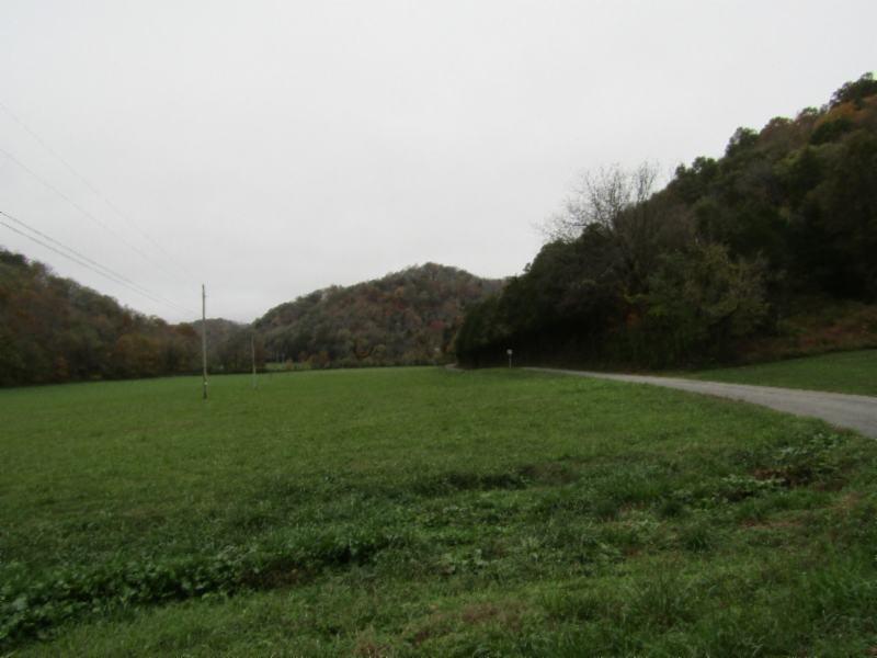 55.83-ac Dry Creek Road Moss, TN 38575 - Photo 23 of 36 IMG_0157