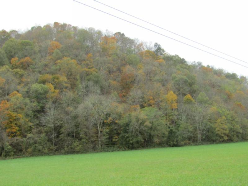 55.83-ac Dry Creek Road Moss, TN 38575 - Photo 25 of 36 IMG_0160
