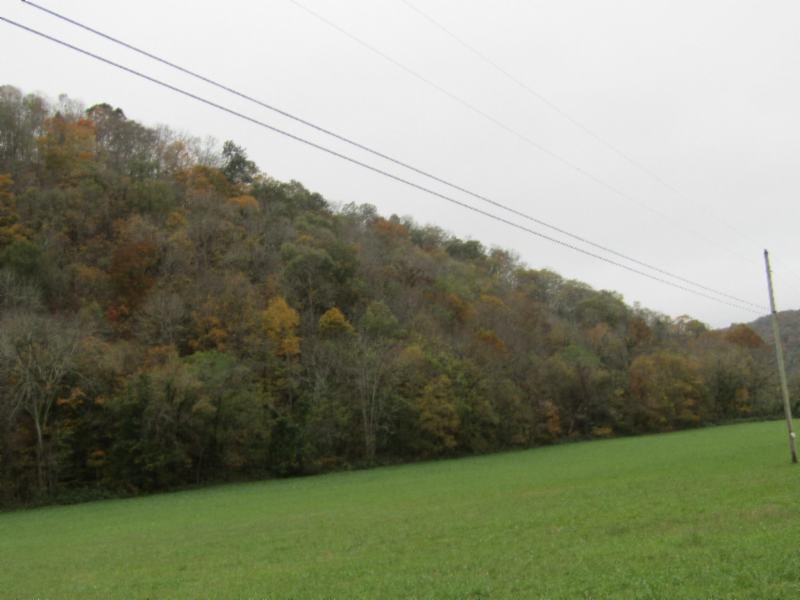 55.83-ac Dry Creek Road Moss, TN 38575 - Photo 26 of 36 IMG_0162