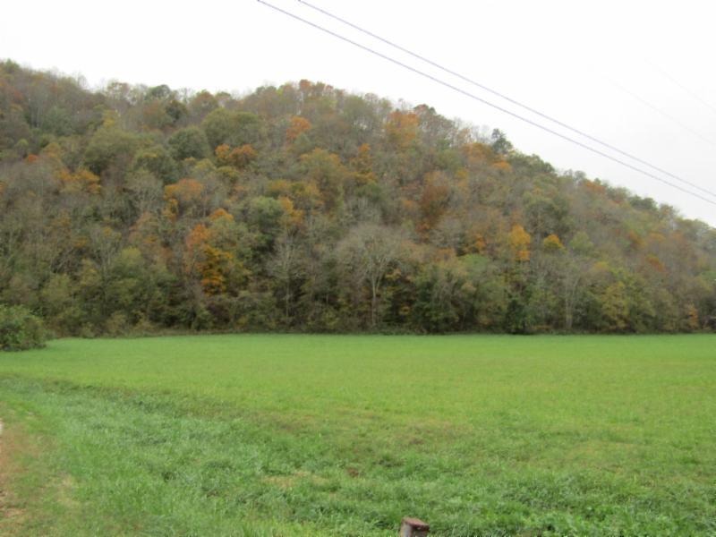 55.83-ac Dry Creek Road Moss, TN 38575 - Photo 27 of 36 IMG_0164